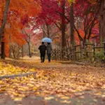 여행가는 달 가을 혜택 마감일 순 정리｜10월 30일 반값여행부터 11월 30일 티맵까지