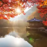 내장산 단풍터널｜일주문에서 내장사까지 걷는 길과 단풍철 이동 요령